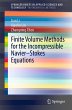 Finite Volume Methods for the... - Bild 1