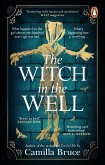 The Witch in the Well (eBook, ePUB)