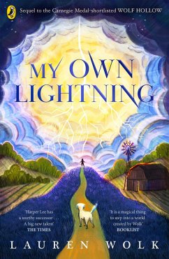 My Own Lightning (eBook, ePUB) - Wolk, Lauren