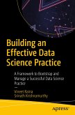 Building an Effective Data Science Practice (eBook, PDF)