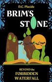 Brim's Stone (eBook, ePUB)