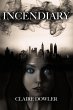 Incendiary (eBook, ePUB) - Bild 1