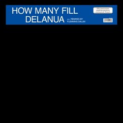 How Many Fill - Delanua