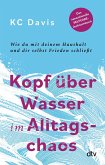 Kopf über Wasser im Alltagschaos (eBook, ePUB)