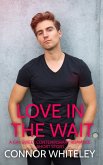 Love In The Wait: A Gay Sweet Contemporary Romance Short Story (The English Gay Sweet Contemporary Romance Stories, #9) (eBook, ePUB)
