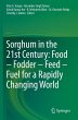 Sorghum in the 21st Century: Food -... - Bild 1