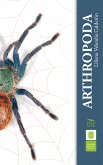 Arthropoda (eBook, ePUB)