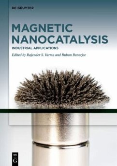 Industrial Applications / Magnetic Nanocatalysis Volume 2