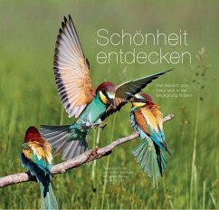 Schönheit entdecken - Sinzinger, Martin