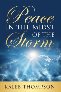 Peace in the Midst of the Storm (eBook, ePUB)