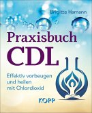 Praxisbuch CDL (eBook, ePUB)