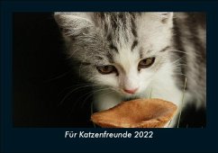 Für Katzenfreunde 2022 Fotokalender DIN A5 - Tobias Becker