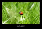 Käfer 2022 Fotokalender DIN A3