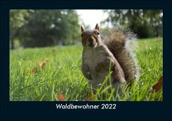 Waldbewohner 2022 Fotokalender DIN A5 - Tobias Becker