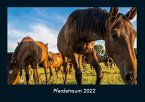 Pferdetraum 2022 Fotokalender DIN A4