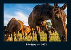 Pferdetraum 2022 Fotokalender DIN A4 - Tobias Becker