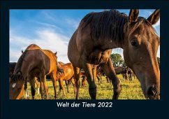 Welt der Tiere 2022 Fotokalender DIN A5 - Tobias Becker