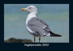 Vogelparadies 2022 Fotokalender DIN A5 - Tobias Becker