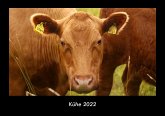 Kühe 2022 Fotokalender DIN A3