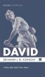David - Bild 1