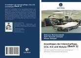 Grundlagen der Intensivpflege, CCU, ICU und Dialyse (Buch 1)