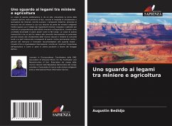 Uno sguardo ai legami tra miniere e agricoltura - Bedidjo, Augustin