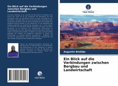 Ein Blick auf die Verbindungen zwischen Bergbau und Landwirtschaft - Bedidjo, Augustin