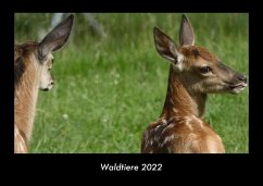 Waldtiere 2022 Fotokalender DIN A3 - Tobias Becker