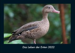 Das Leben der Enten 2022 Fotokalender DIN A4 - Tobias Becker