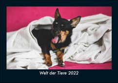 Welt der Tiere 2022 Fotokalender DIN A5 - Tobias Becker