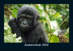 Zoobewohner 2022 Fotokalender DIN A5 - Tobias Becker