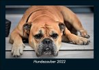 Hundezauber 2022 Fotokalender DIN A5