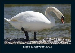 Enten & Schwäne 2022 Fotokalender DIN A5 - Tobias Becker