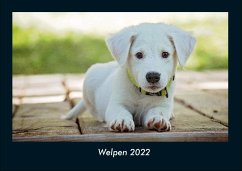 Welpen 2022 Fotokalender DIN A4 - Tobias Becker