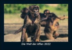 Die Welt der Affen 2022 Fotokalender DIN A5 - Tobias Becker