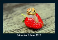 Schnecken & Käfer 2022 Fotokalender DIN A5 - Tobias Becker