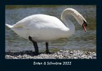 Enten & Schwäne 2022 Fotokalender DIN A4