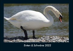 Enten & Schwäne 2022 Fotokalender DIN A4 - Tobias Becker