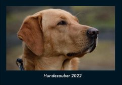 Hundezauber 2022 Fotokalender DIN A4 - Tobias Becker