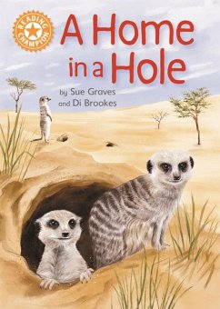 A Home in a Hole (eBook, ePUB) - Graves, Sue