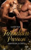 Forbidden Passion (eBook, ePUB)