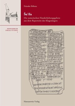 Cover su¿ila (eBook, PDF)