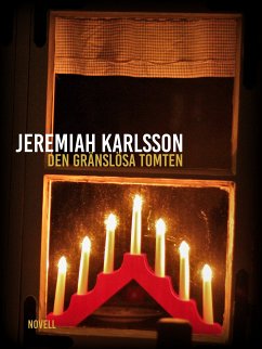 Den gränslösa tomten (eBook, ePUB)