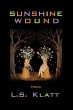 Sunshine Wound (eBook, ePUB) - Bild 1