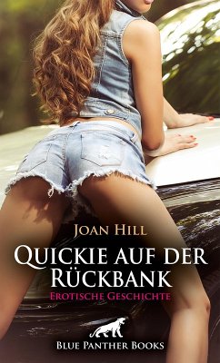 Quickie auf der Rückbank   Erotische Geschichte (eBook, PDF) - Hill, Joan