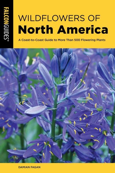 Wildflowers of North America (eBook, ePUB)