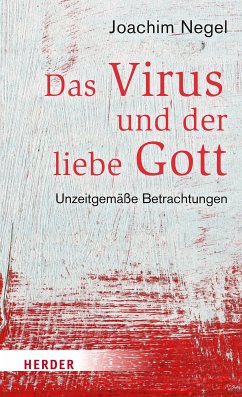 Das Virus und der liebe Gott (eBook, ePUB) - Negel, Joachim