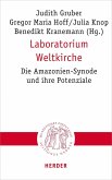 Laboratorium Weltkirche (eBook, PDF)