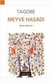 Meyve Hasadi