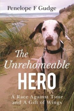 The Unrehomeable Hero, A Race Against Time & A Gift of Wings - Gudge, Penelope F.